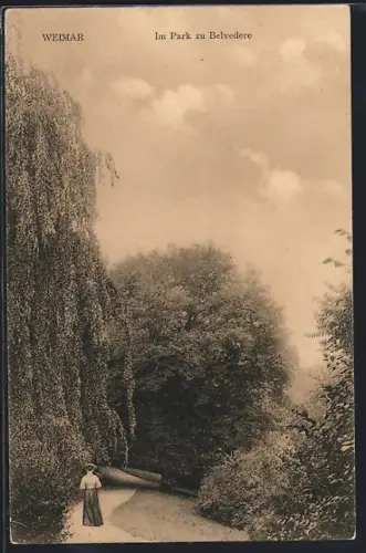 AK Weimar / Thür., Park zu Belvedere