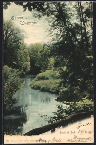 AK Weimar / Thür., Partie im Park