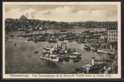 AK Constantinople, Vue Panoramique et la Mosquée Validé entre la Corne d`Or