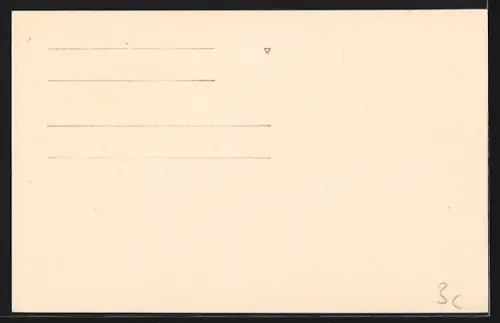 AK Istanbul, Dolma Bagce