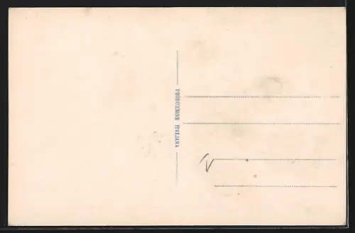 AK Constantinople, Haut Bosphore Cavak