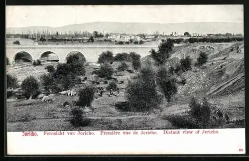 AK Jericho, Fernsicht