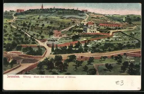 AK Jerusalem, Ölberg, Mont des Oliviers