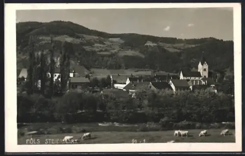 AK Pöls, Blick zum Ort von weitem