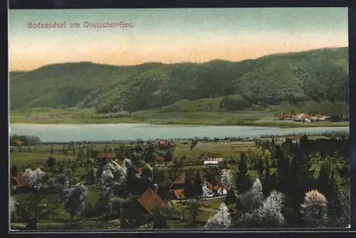 AK Bodensdorf am Ossiacher-See, Panorama mit Bäumen