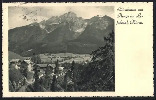 AK Birnbaum im Lesachtal, Teilansicht mit Plenge