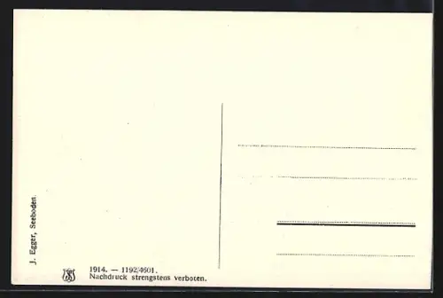 AK Seebach bei Seeboden, Teilansicht mit Bergen