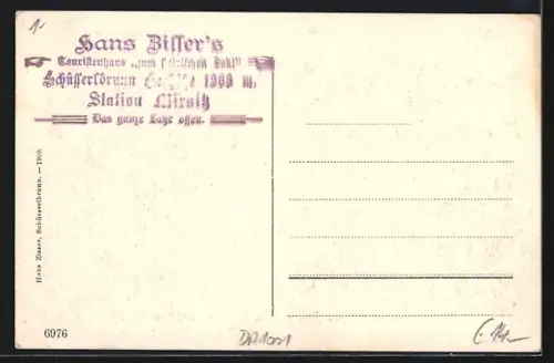 AK Breitenau am Hochlantsch, Schüsserlbrunn, Das Touristenhaus zum steir. Jogl von Hans Zisser