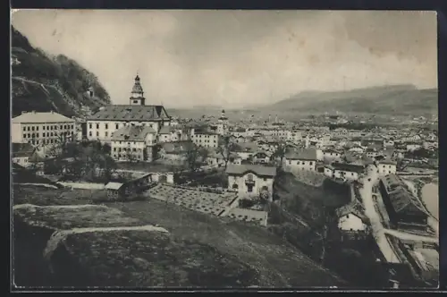 AK Hallein, Teilansicht mit Strassenpartie