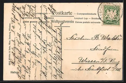 AK Hallein, Teilansicht mit Strassenpartie