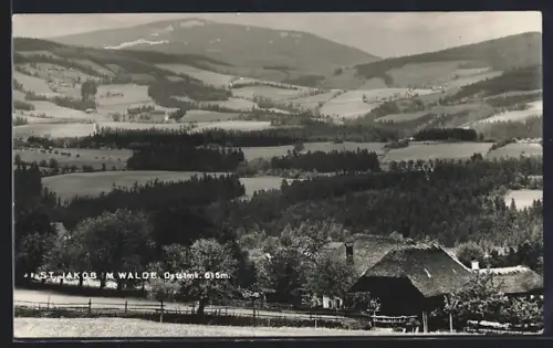 AK St. Jakob im Walde, Teilansicht gegen die Berge
