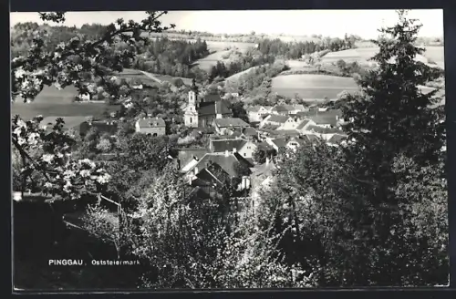 AK Pinggau /Oststeiermark, Ortsansicht vom Berghang aus