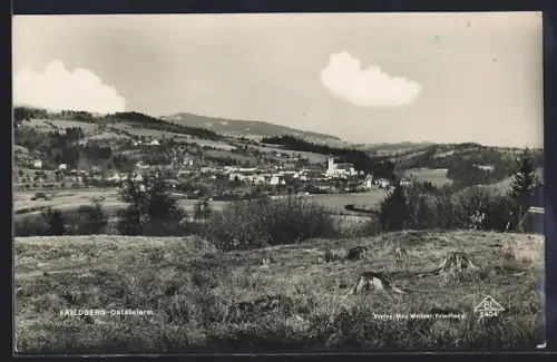 AK Friedberg /Oststeierm., Totalansicht