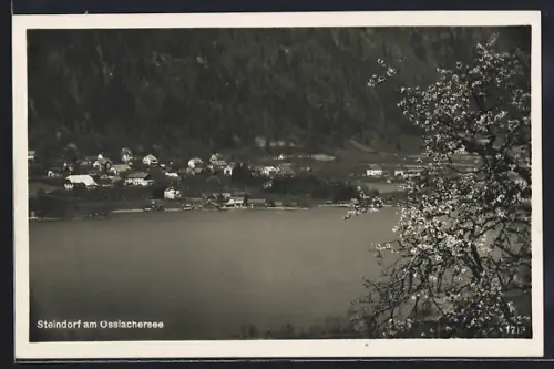 AK Steindorf am Ossiachersee, Teilansicht bei Baumblüte