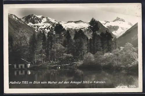 AK Mallnitz /Kärnten, Blick vom Weiher auf den Ankogel