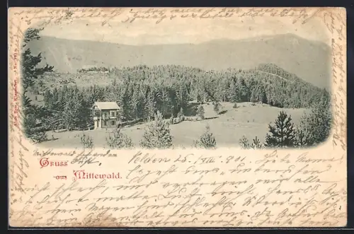 AK Villach, Mittewald, Ortspartie mit Bergen