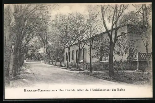 AK Hammam-Meskoutine, Une Grande Allée de l`Etablissement des Bains