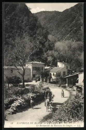 AK Les Gorges de la Chiffa, Le Restaurant du Ruisseau des Singes