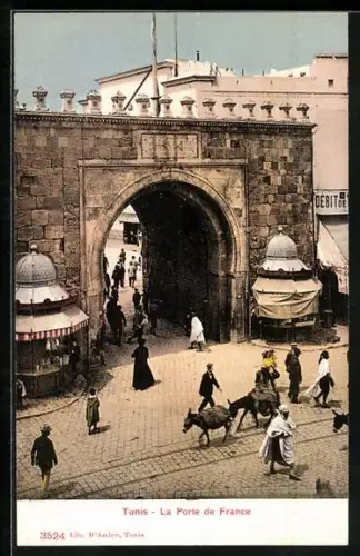 AK Tunis, la porte de france, Esel