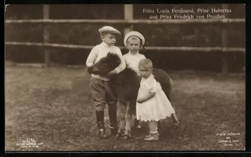 AK Prinz Louis Ferdinand, Prinz Hubertus und Prinz Friedrich von Preussen
