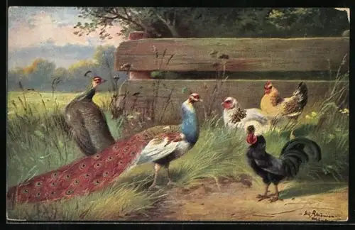 Künstler-AK Alfred Schönian: Pfau, Hahn, Hennen auf der Wiese am Zaun