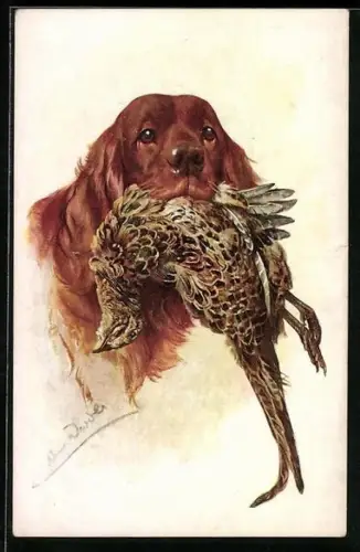 AK Jagdhund mit erlegtem Vogel im Maul
