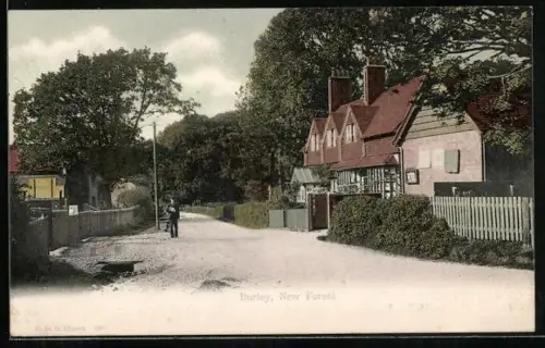 AK Burley, New Forest