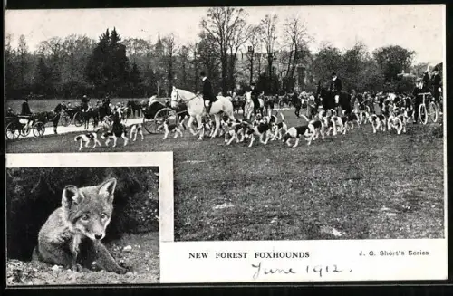AK New Forest, Fox Hounds during a Hunt