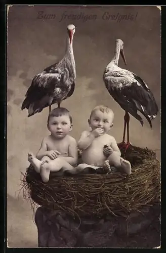 AK Zwei Babys sitzen in einem Storchennest