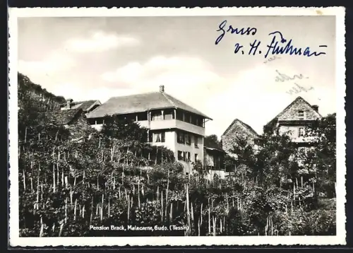 AK Gudo, Pension Brack, Gudo