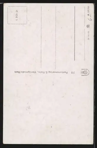 AK Wernigerode /Harz, Rathaus