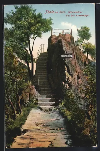 AK Thale im Harz, Bülowshöhe bei der Rosstrappe