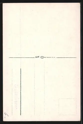 AK Thale im Harz, Jungfernbrücke, Königsruhe