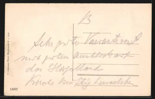 AK Kirchschlag /N. Oe., Teilansicht mit Ruine