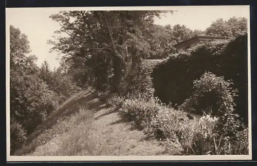 AK Graz, Partie im Burggarten, mit Hang u. Gebäude