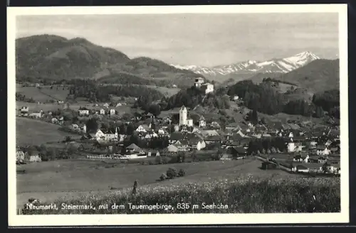 AK Neumarkt /Steiermark, Gesamtansicht mit Tauerngebirge