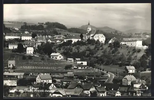 AK Birkfeld /Oststmk., Totalansicht aus der Vogelschau