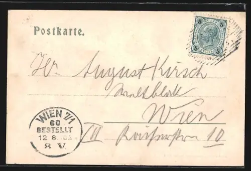 AK Ischl, Ortsansicht vom Wildenstein