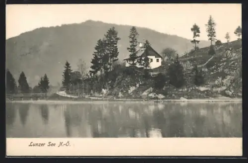 AK Lunzer See /N.-Ö., Blick über den See gegen die Berge