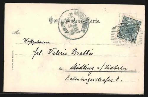 AK Bad Ischl, Flaneure auf der Esplanade