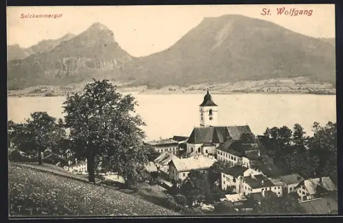 AK St. Wolfgang /Salzkammergut, Ortsansicht am Wolfgang-See