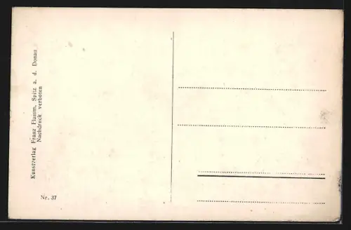 AK Spitz, Hinterhaus, Ruine Hinterhaus