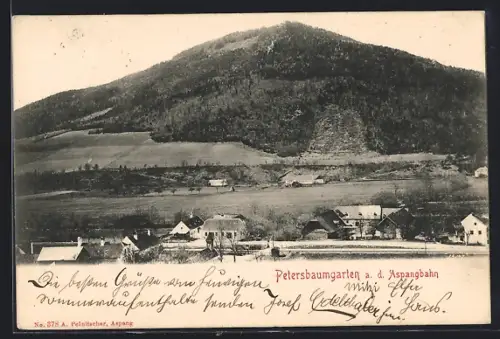 AK Petersbaumgarten a. d. Aspangbahn, Ortsansicht mit Berg