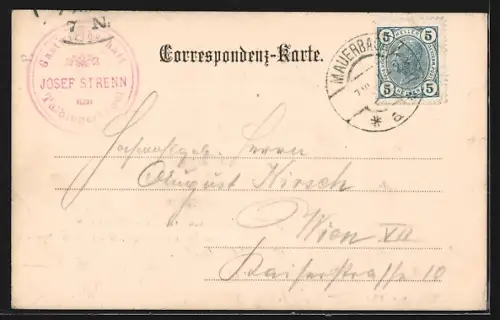 AK Mauerbach, J. Strenns Restauration zum Touristen am Tulbingerkogel, Aussichtsturm