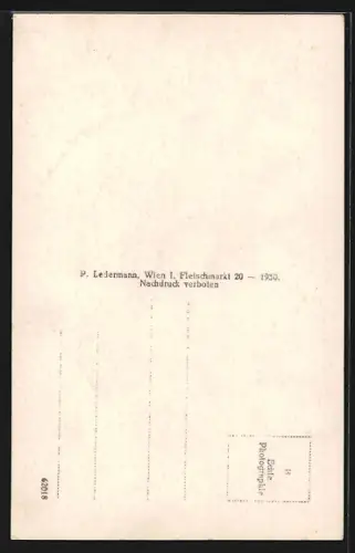AK Reichenau, Pension Schloss Wartholz