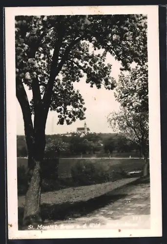AK St. Marein b. Brunn, Durchblick zur Kirche