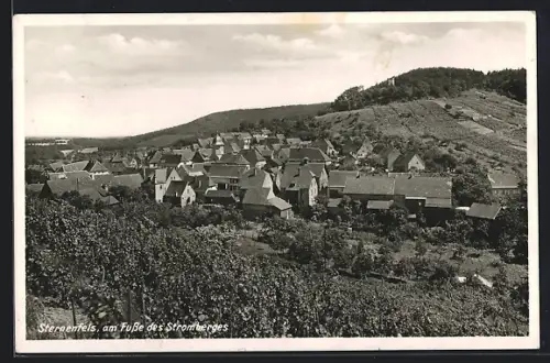 AK Sternenfels /Stromberg, Ortsansicht, Weinberge