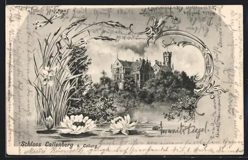 AK Coburg, Schloss Callenberg