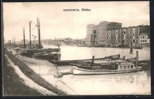 AK Mannheim, Hafen, Frachtschiffe, Speichergebäude
