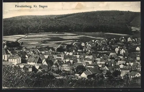 AK Freudenberg /Siegen, Ortsansicht